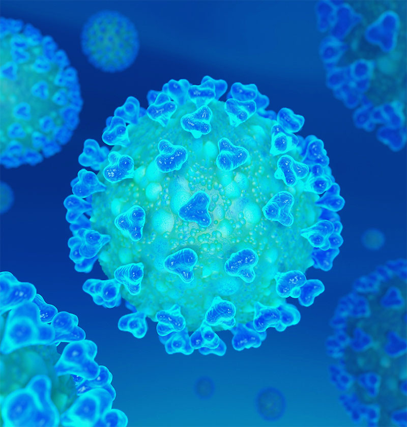 coronavirus