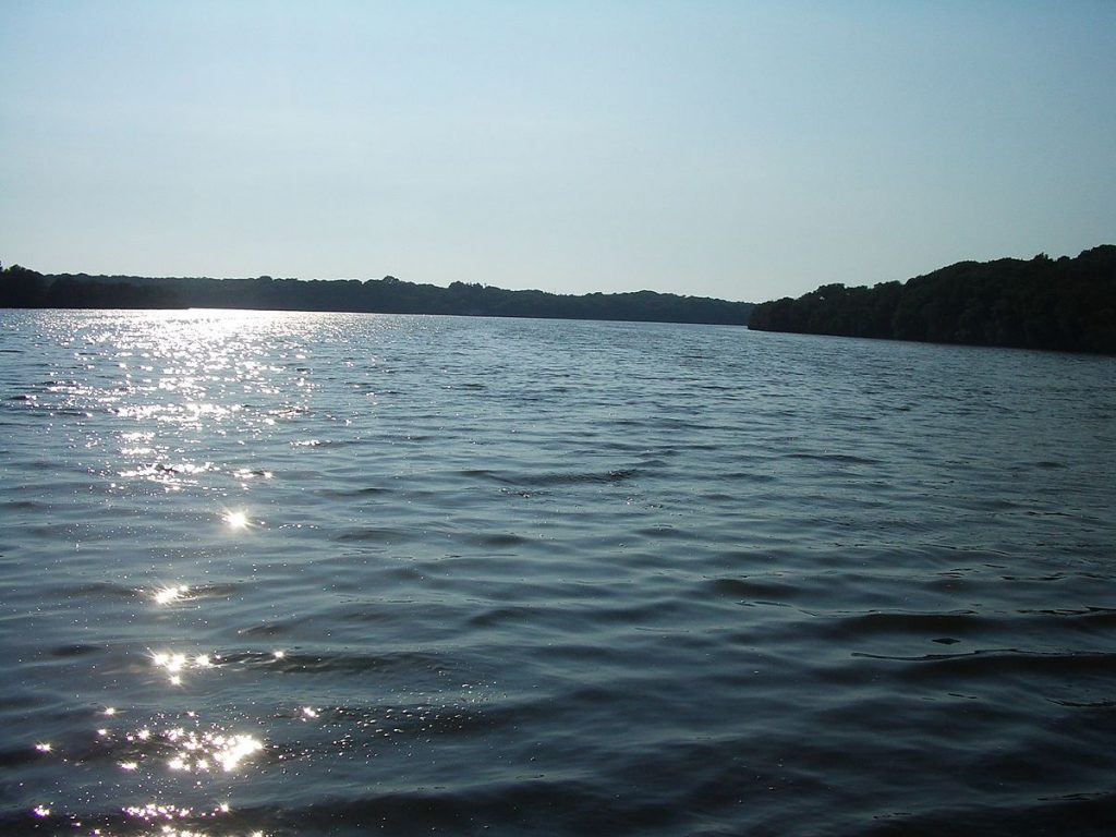 lago