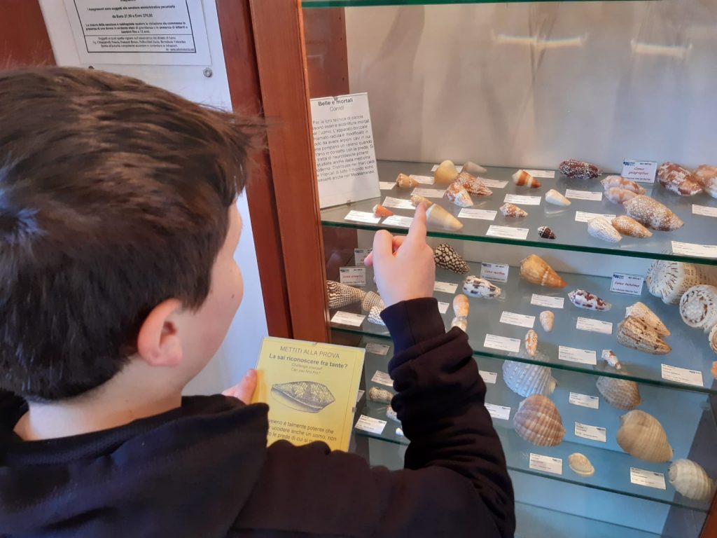 museo costa mare