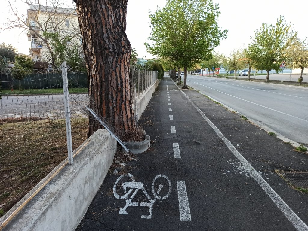 Albero su pista: una foto dei grillini per dimostrare l'incuria delle strutture di Aprilia in merit