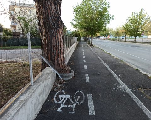 Albero su pista: una foto dei grillini per dimostrare l'incuria delle strutture di Aprilia in merit