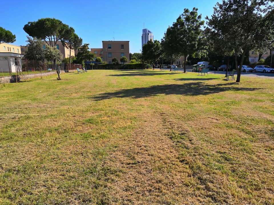 Area verde nel Quartiere Nicolosi (foto da Pagina Facebook del Comitato di Quartiere)