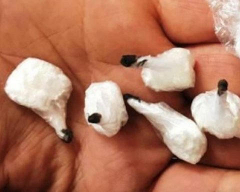 cocaina