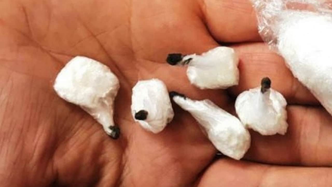 cocaina