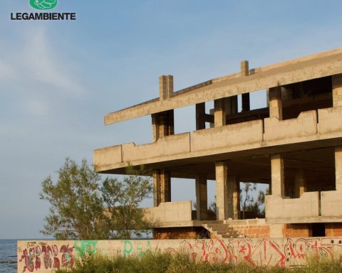abusi su Legambiente
