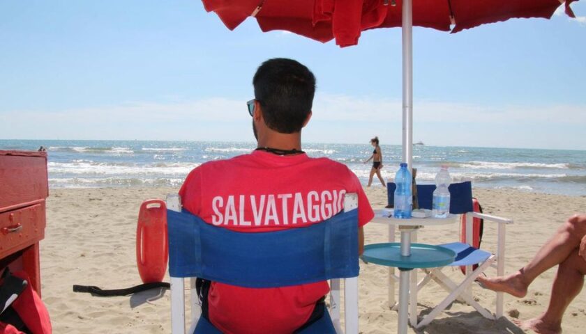 bagnino