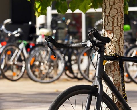 bici-mobilità