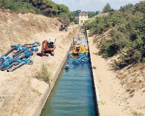 Canale Caterattino 2017 (Foto: Ente Parco Circeo)