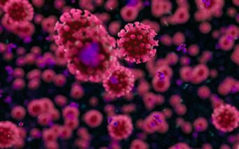 coronavirus