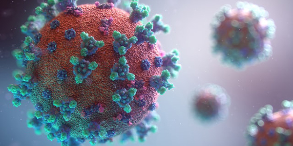 coronavirus