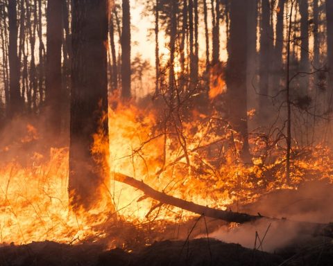 incendio