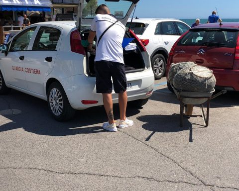 sequestro cozze