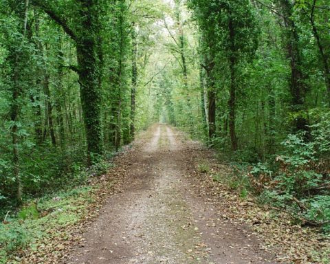 Parco Nazionale del Circeo