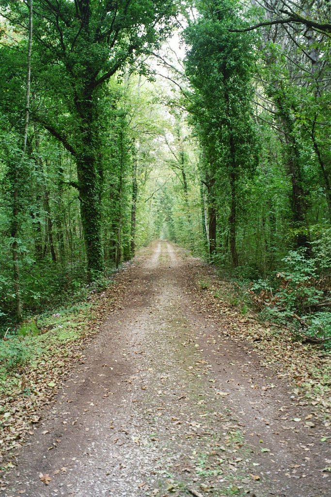 Parco Nazionale del Circeo