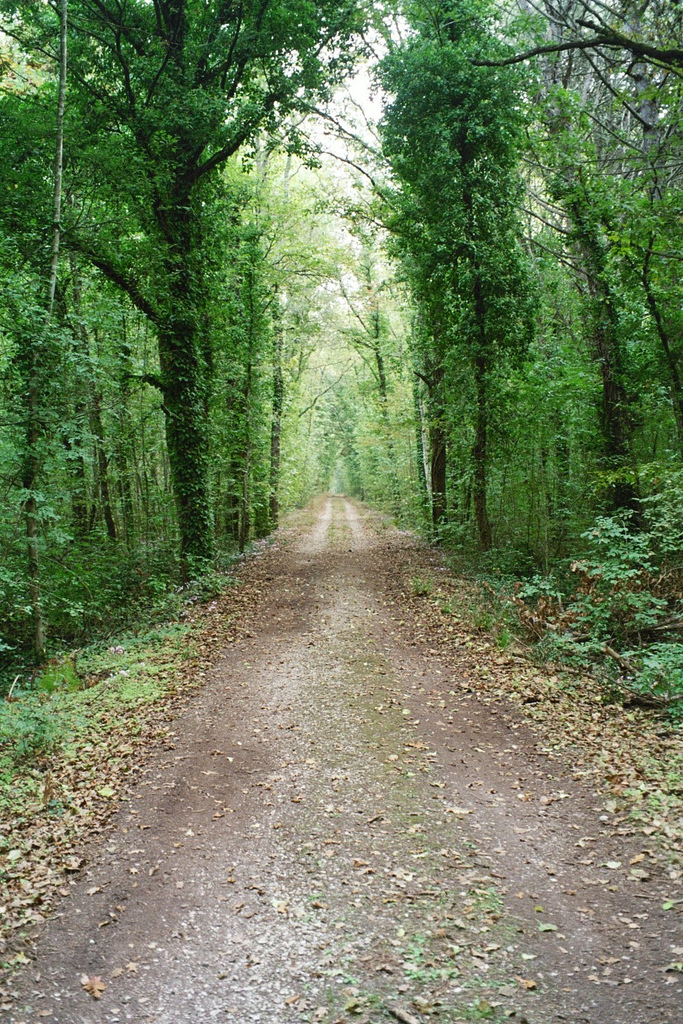 Parco Nazionale del Circeo