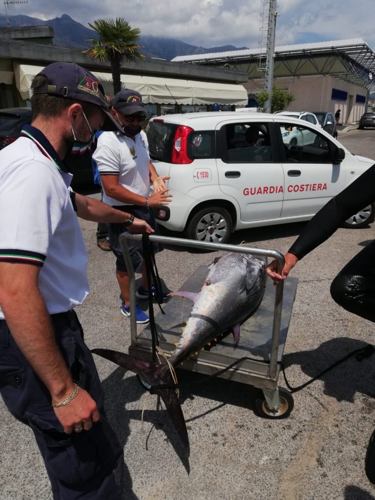 pesca illegale