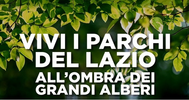 viviiparchi