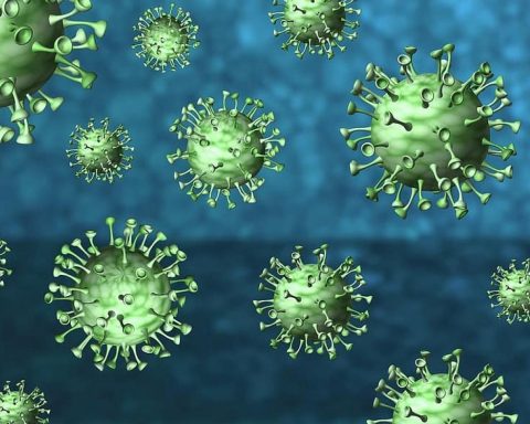 coronavirus