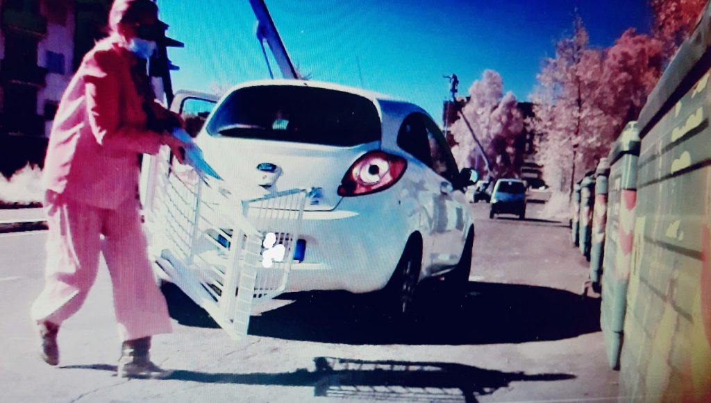 Fototrappola 5