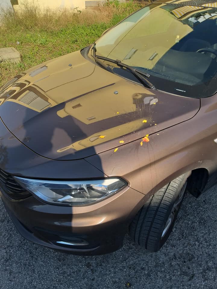 Uova sull'auto