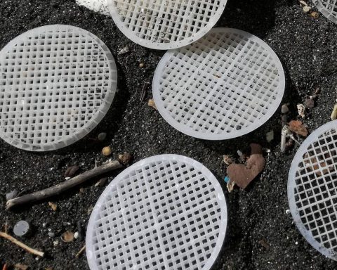 Ambiente-il-giallo-dei-dischetti-di-plastica-sulle-spiagge-tirreniche-indaga-la-Guardia-costiera
