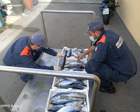 sequestro tonni