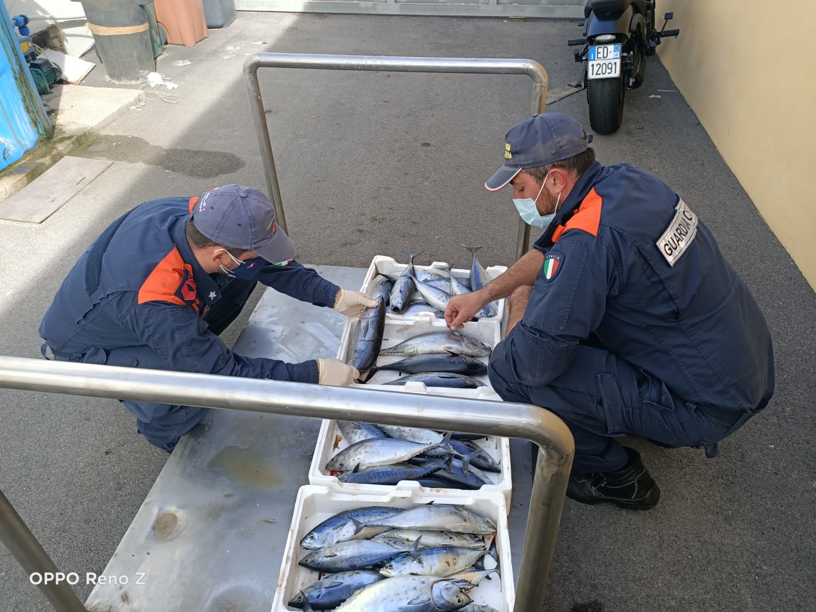 sequestro tonni