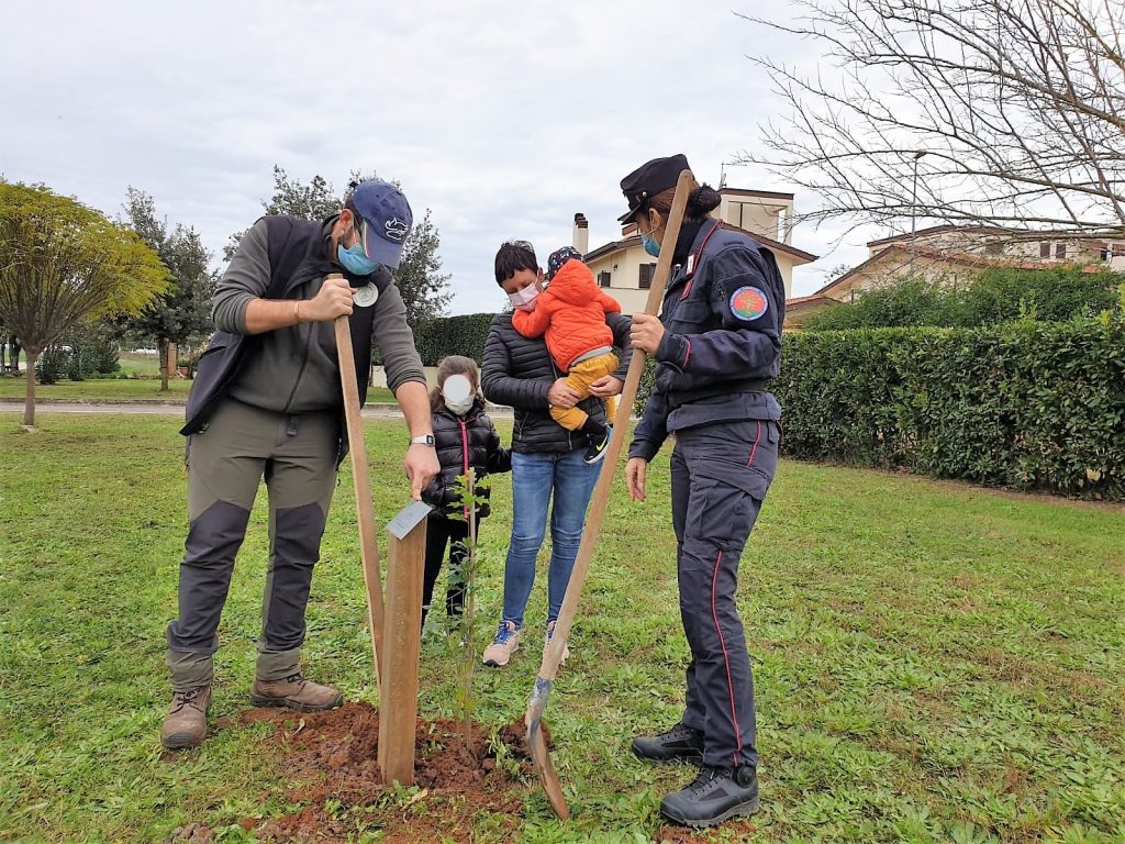 ALBERI2