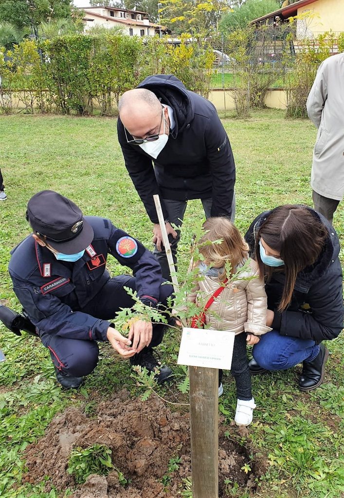 ALBERI3