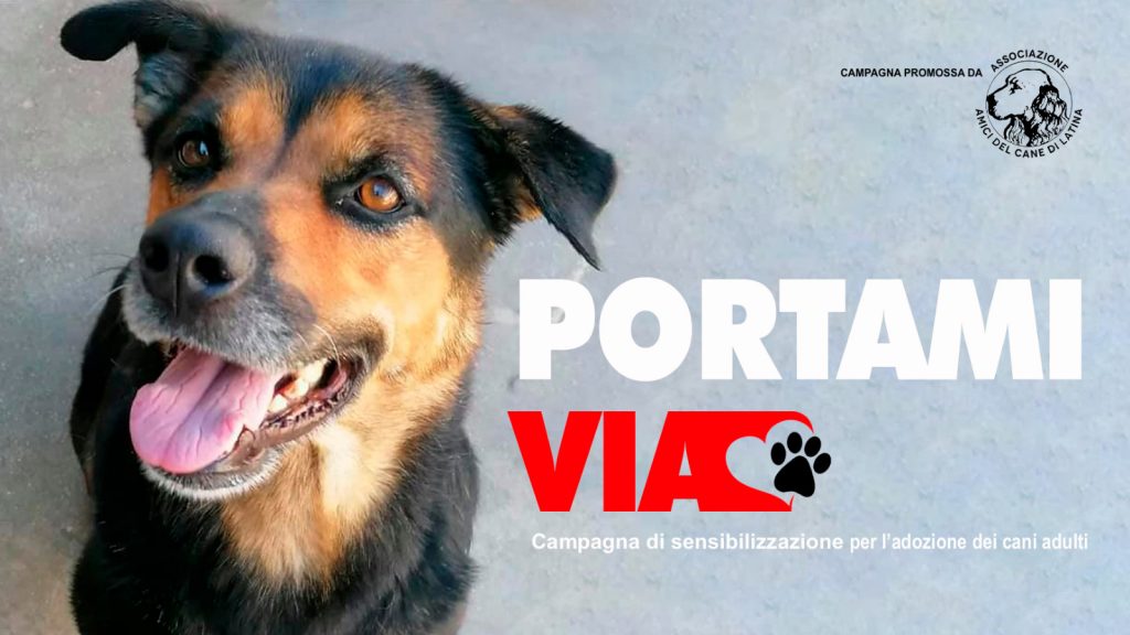Amici del cane di Latina - campagna Portami via
