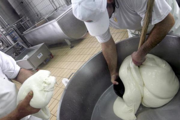 mozzarella