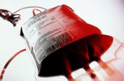 sangue infetto