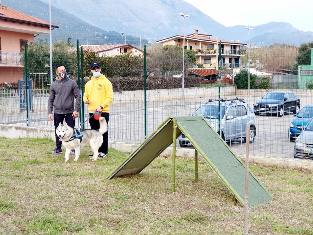 agility