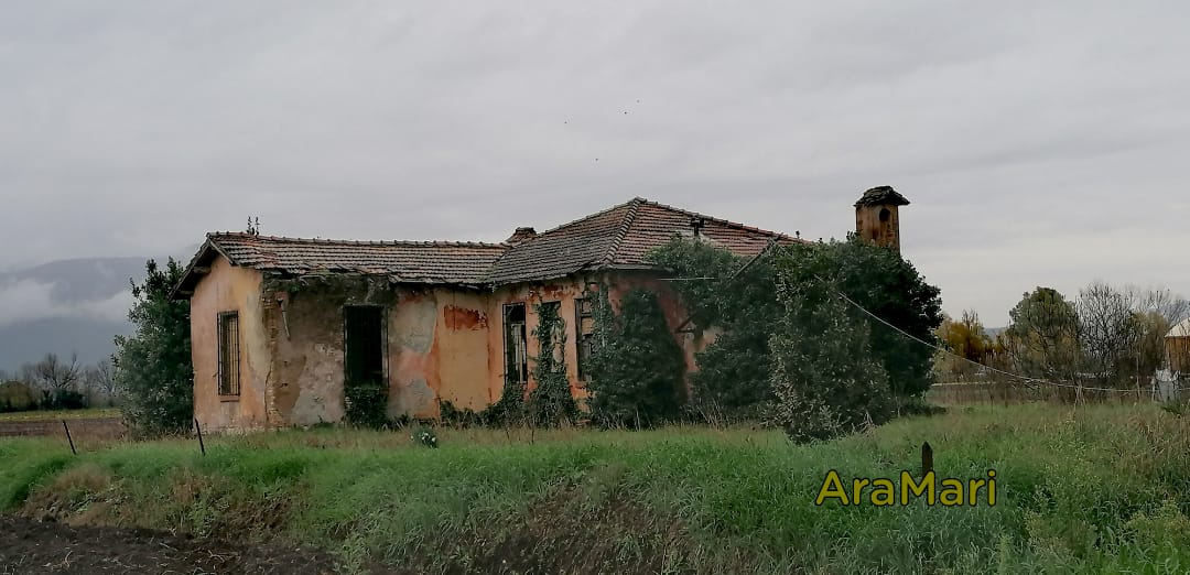 ex scuola uccellara latina (1)