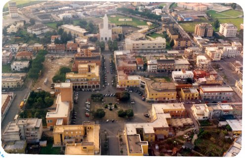 Pontinia