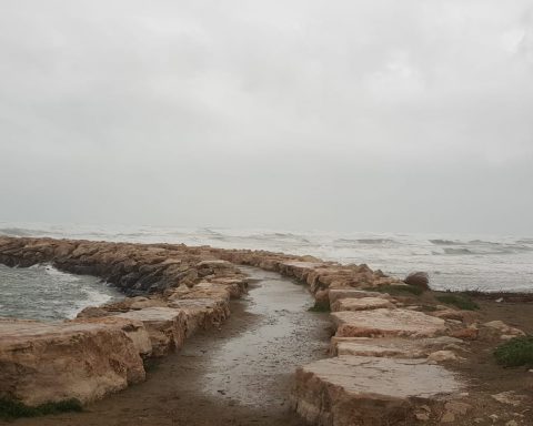 RIO MARTINO