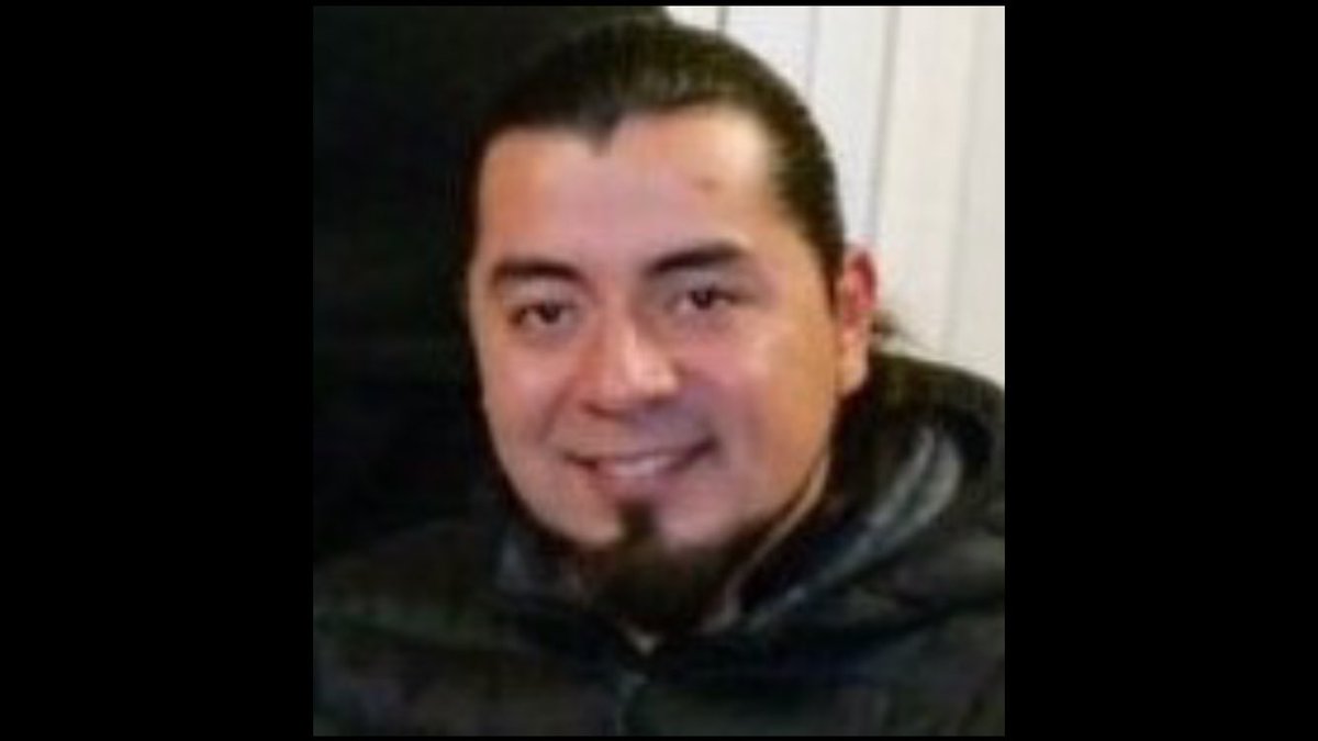 Renato Yedra Briseno