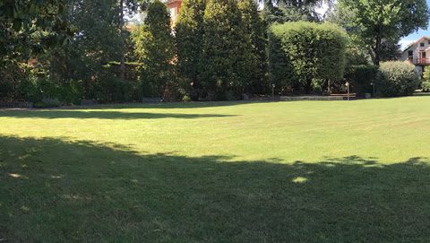 manutenzione verde