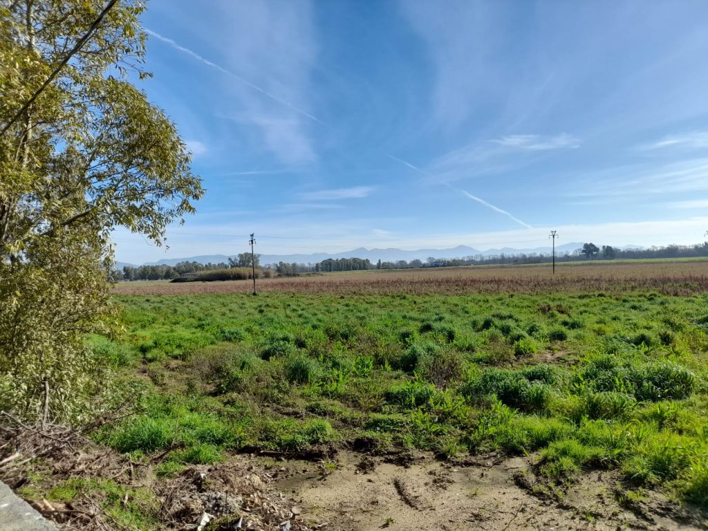 Area sulla Migliara 45 vicino allo stabilimento Plasmon