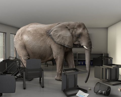 Elephant in the Room