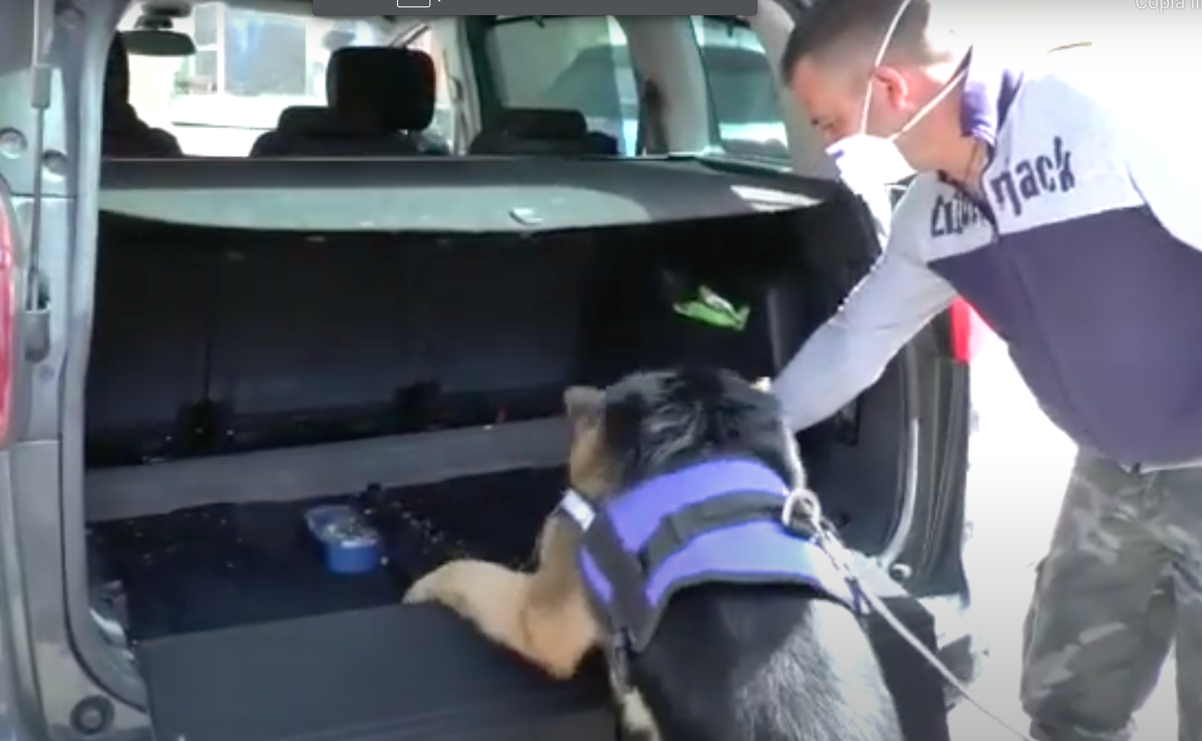 droga in auto