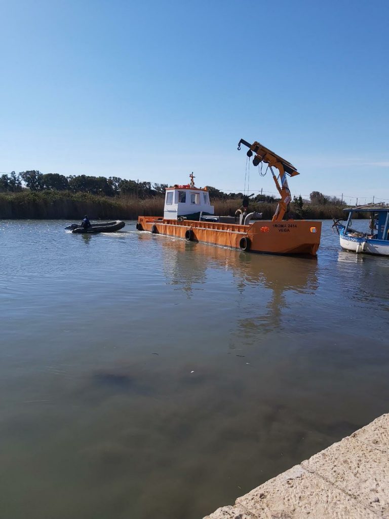 rio martino