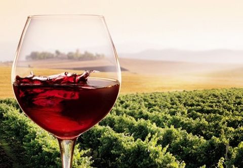 vino