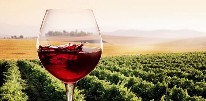 vino