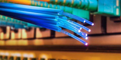 fiber