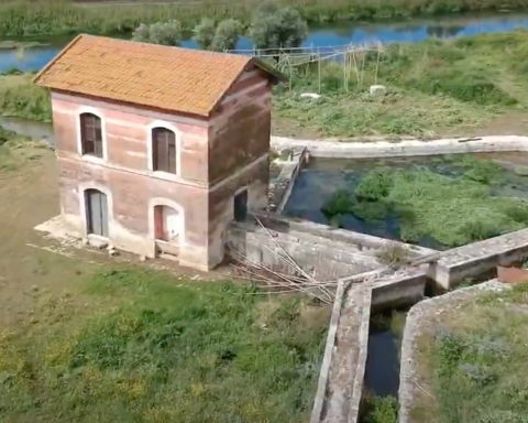 Pontinia 5stelle