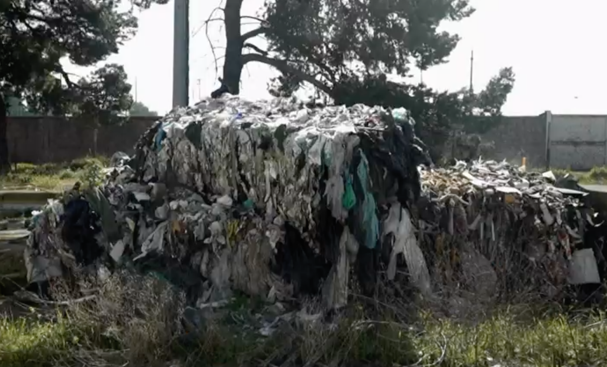 rifiuti