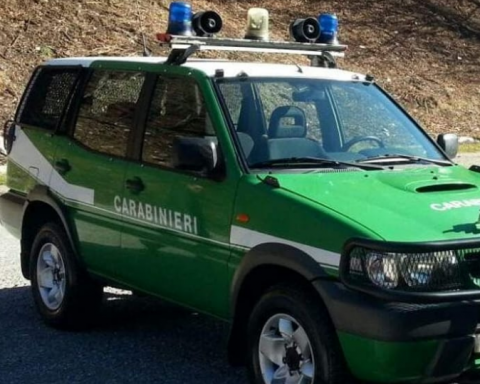 Automezzo del NIPAAF di Latina