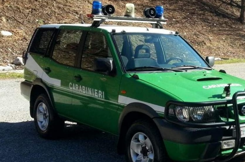 Automezzo del NIPAAF di Latina