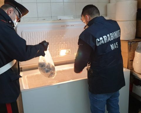 Carabinieri del NAS di Latina e della Stazione di Latina Scalo
